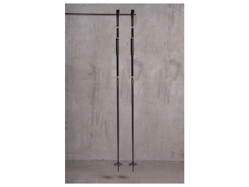 Armada Legion Ski Poles - 2024